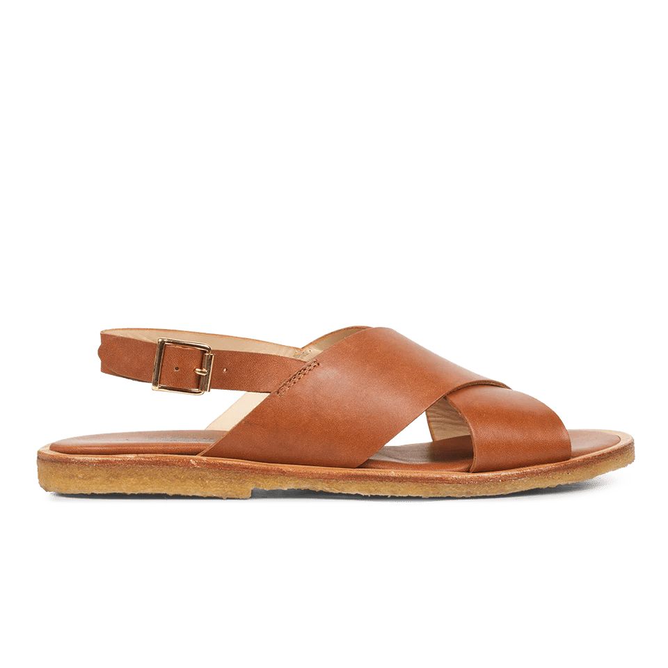 Angulus 5637-101 Tan