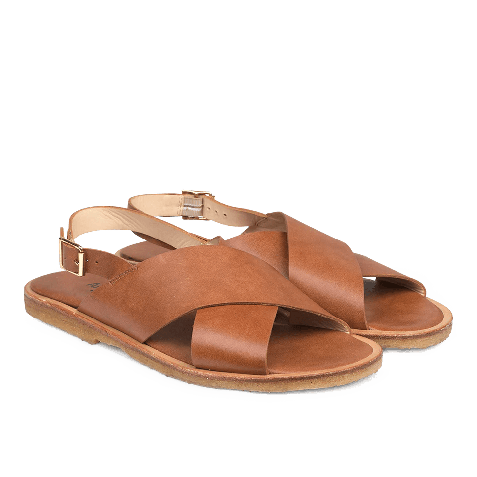 Angulus 5637-101 Tan