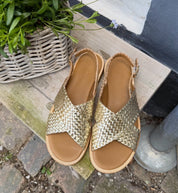 Angulus 5637 - 105 guld dame