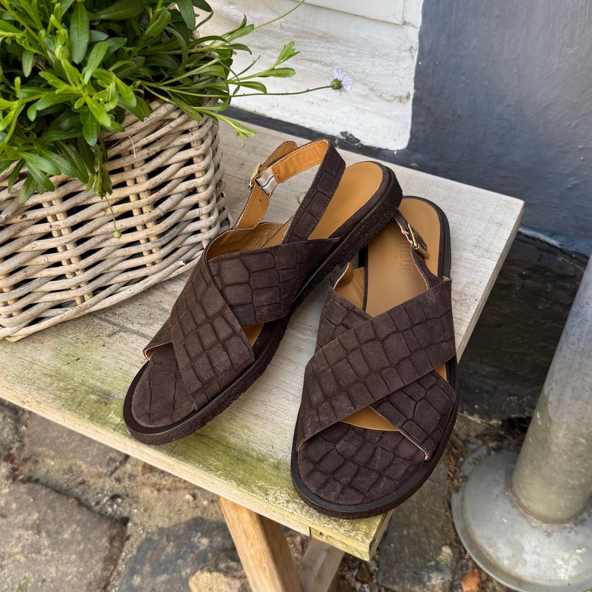 Angulus 5637 - 106 mørk brun croco dame