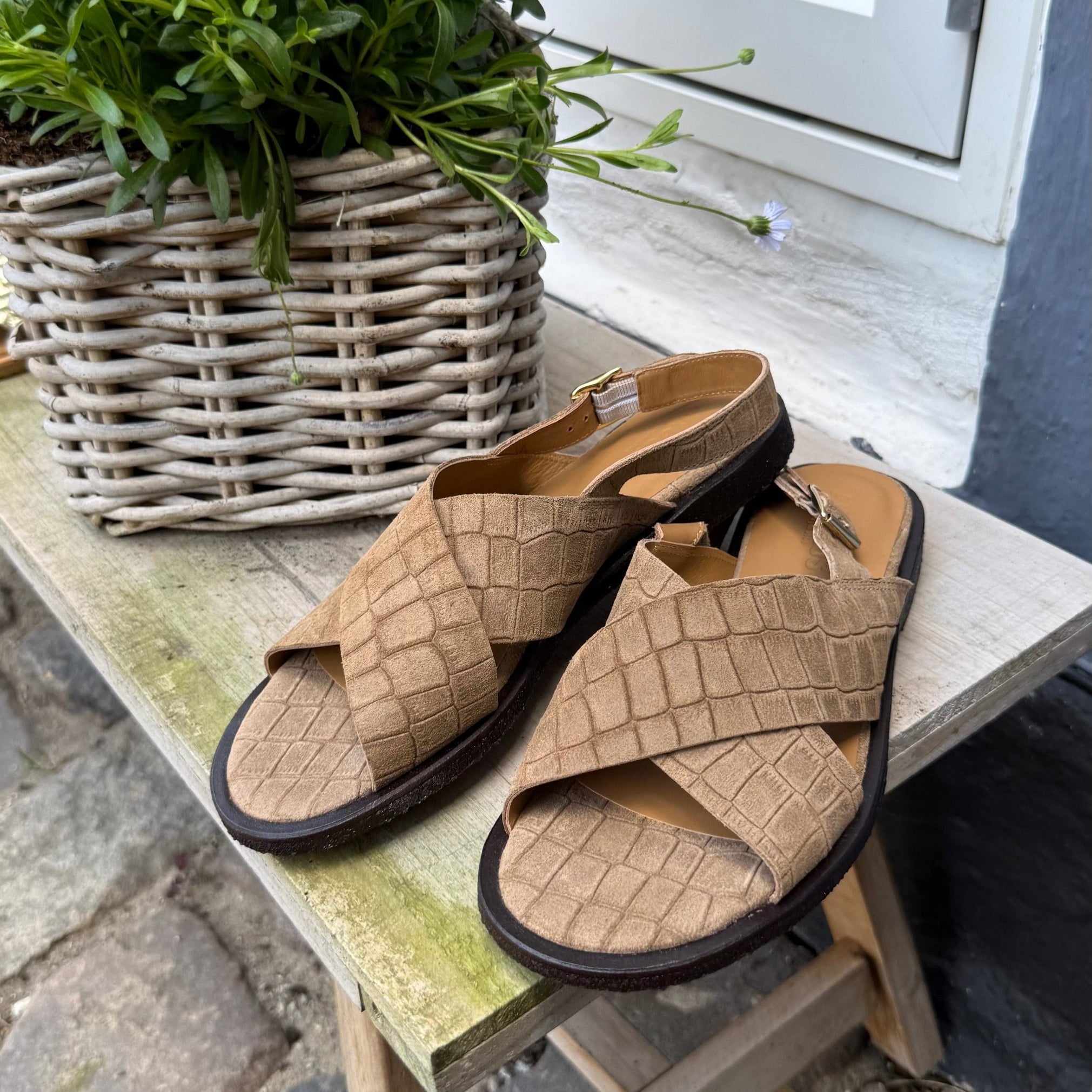 Angulus 5637 - 106 taupe croco dame