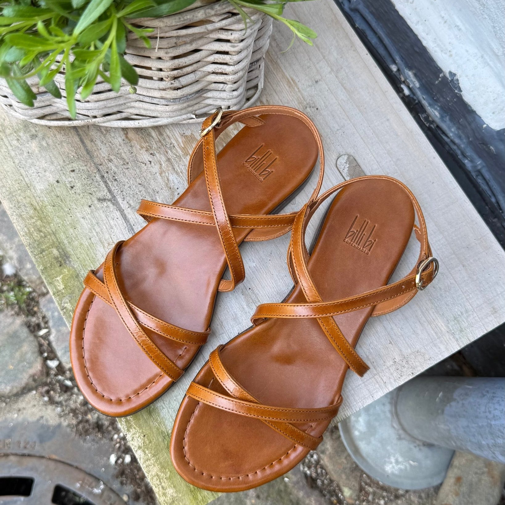 Billi Bi A4920 cognac dame