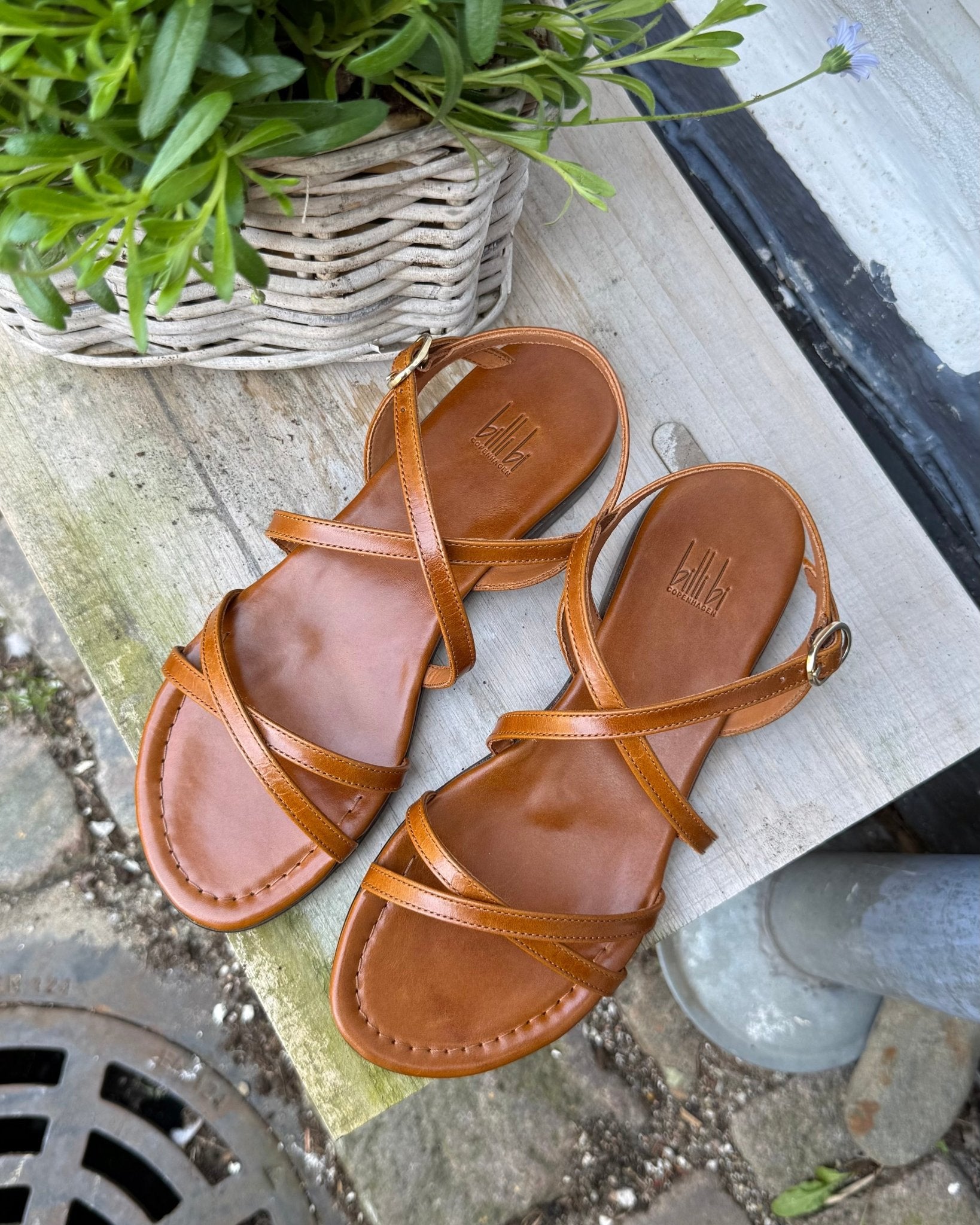 Billi Bi A4920 cognac dame