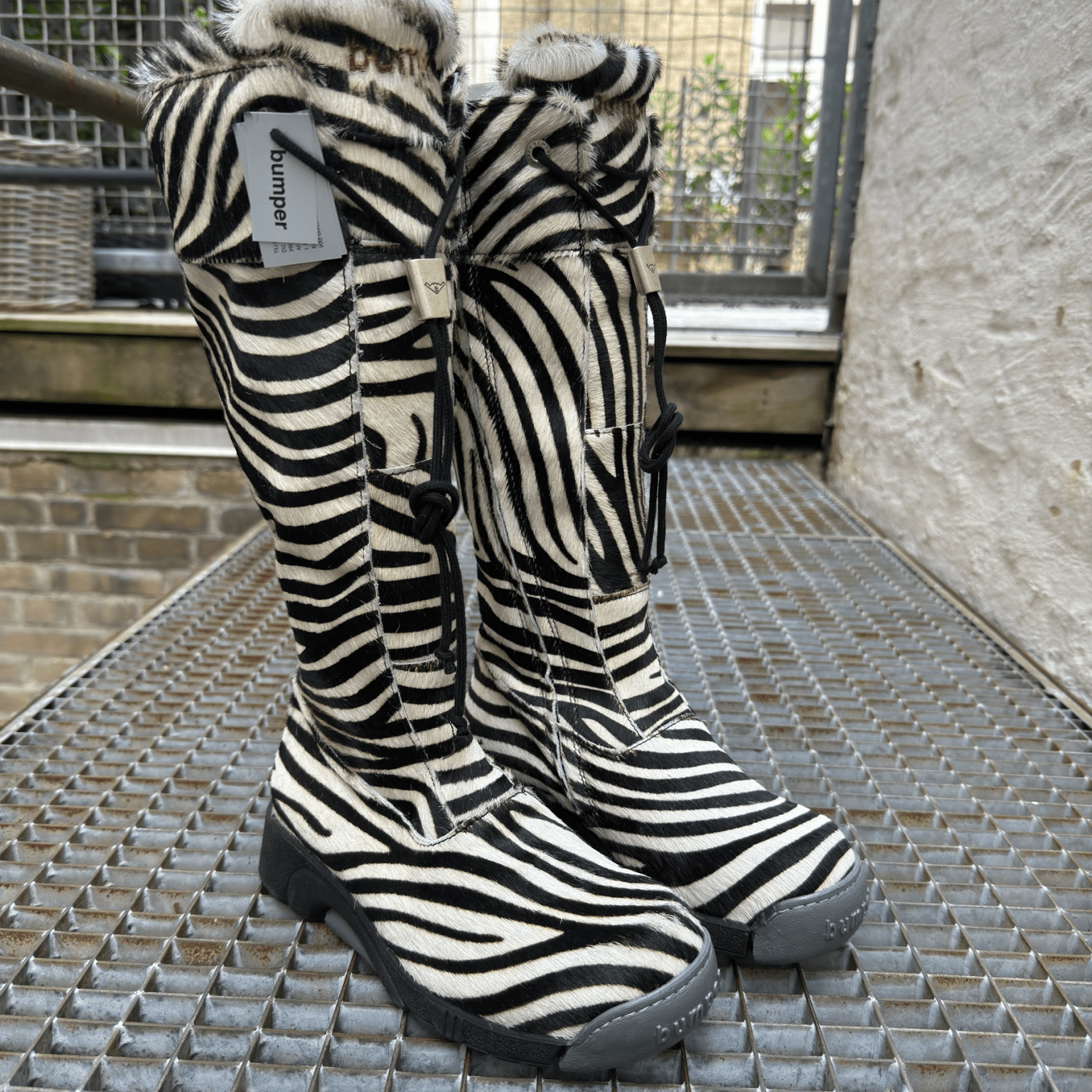 Bumper 07 Zebra