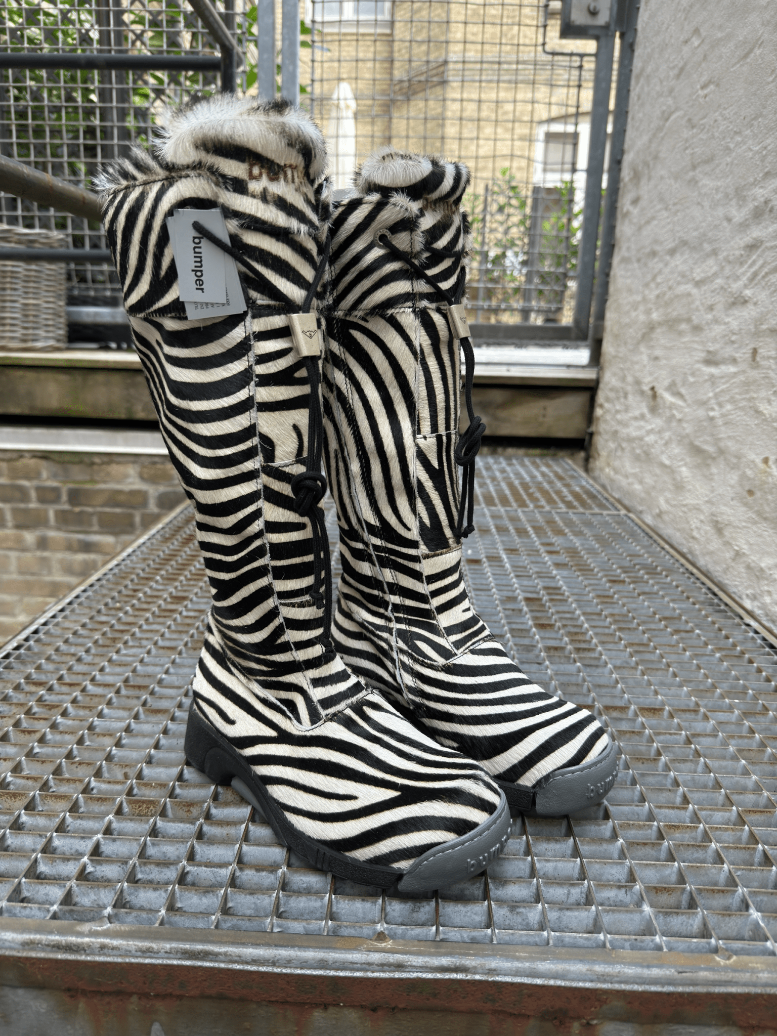 Bumper 07 Zebra