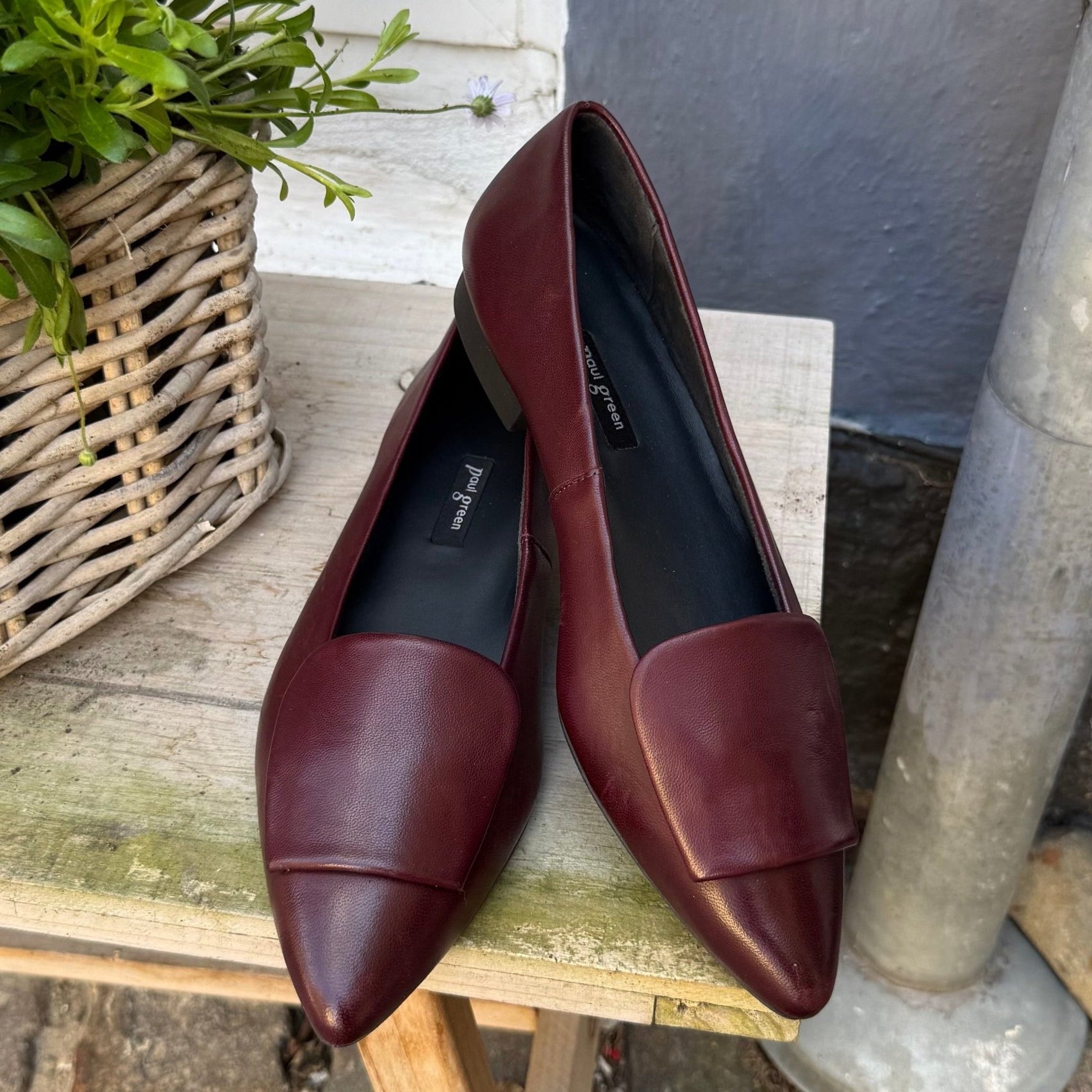 Paul Green 3792 - 221 bordeaux ballerina dame