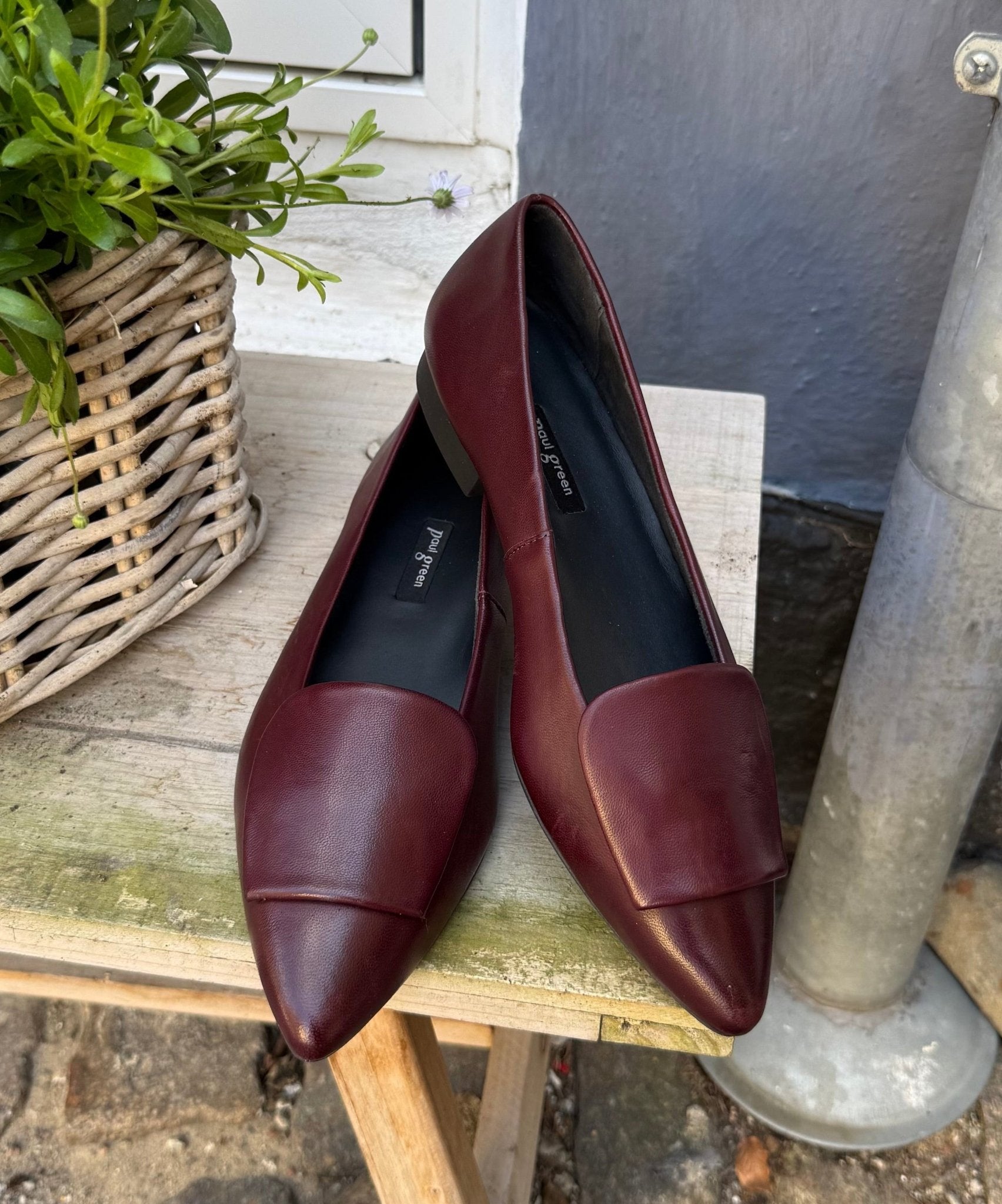Paul Green 3792 - 221 bordeaux ballerina dame