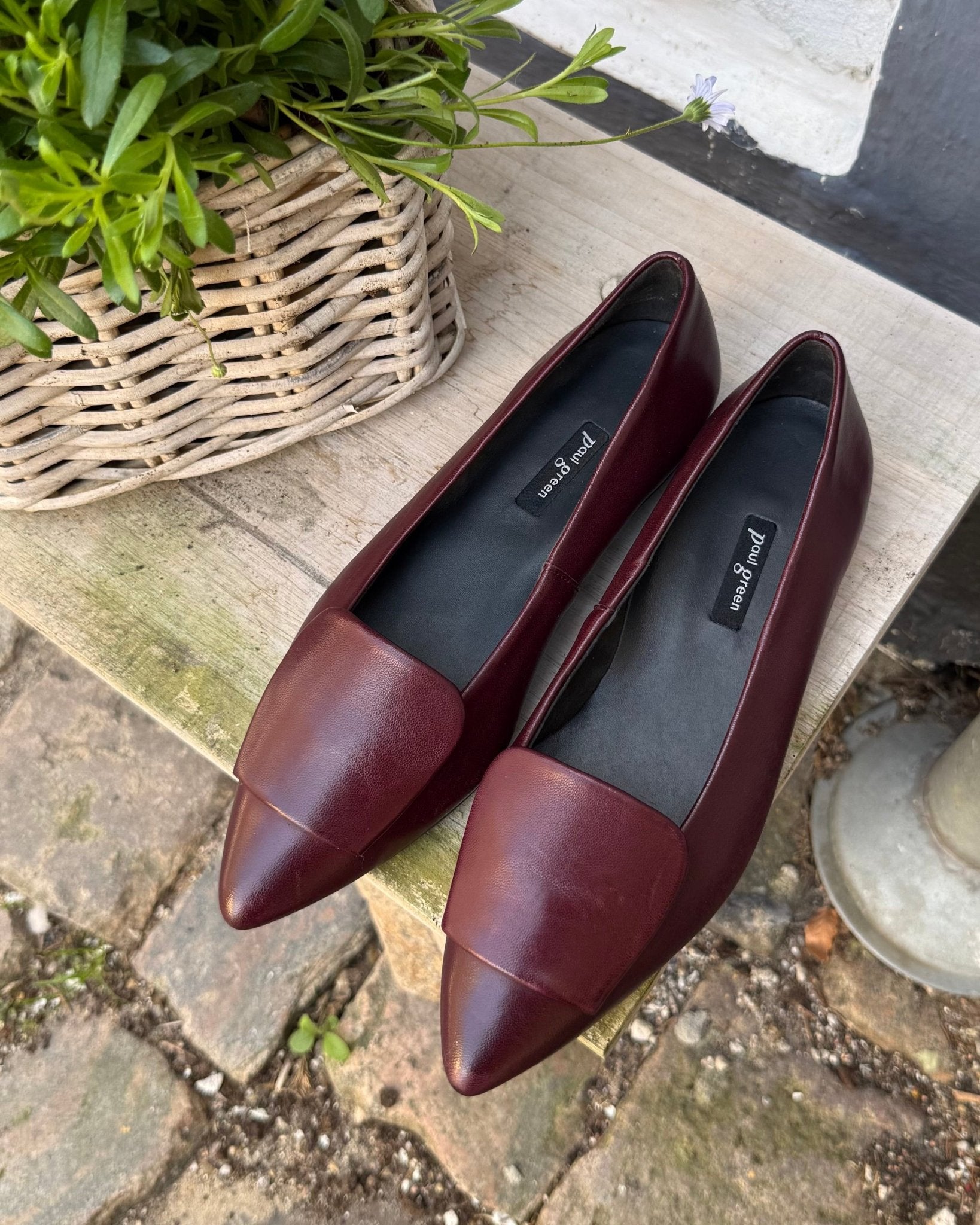 Paul Green 3792 - 221 bordeaux ballerina dame