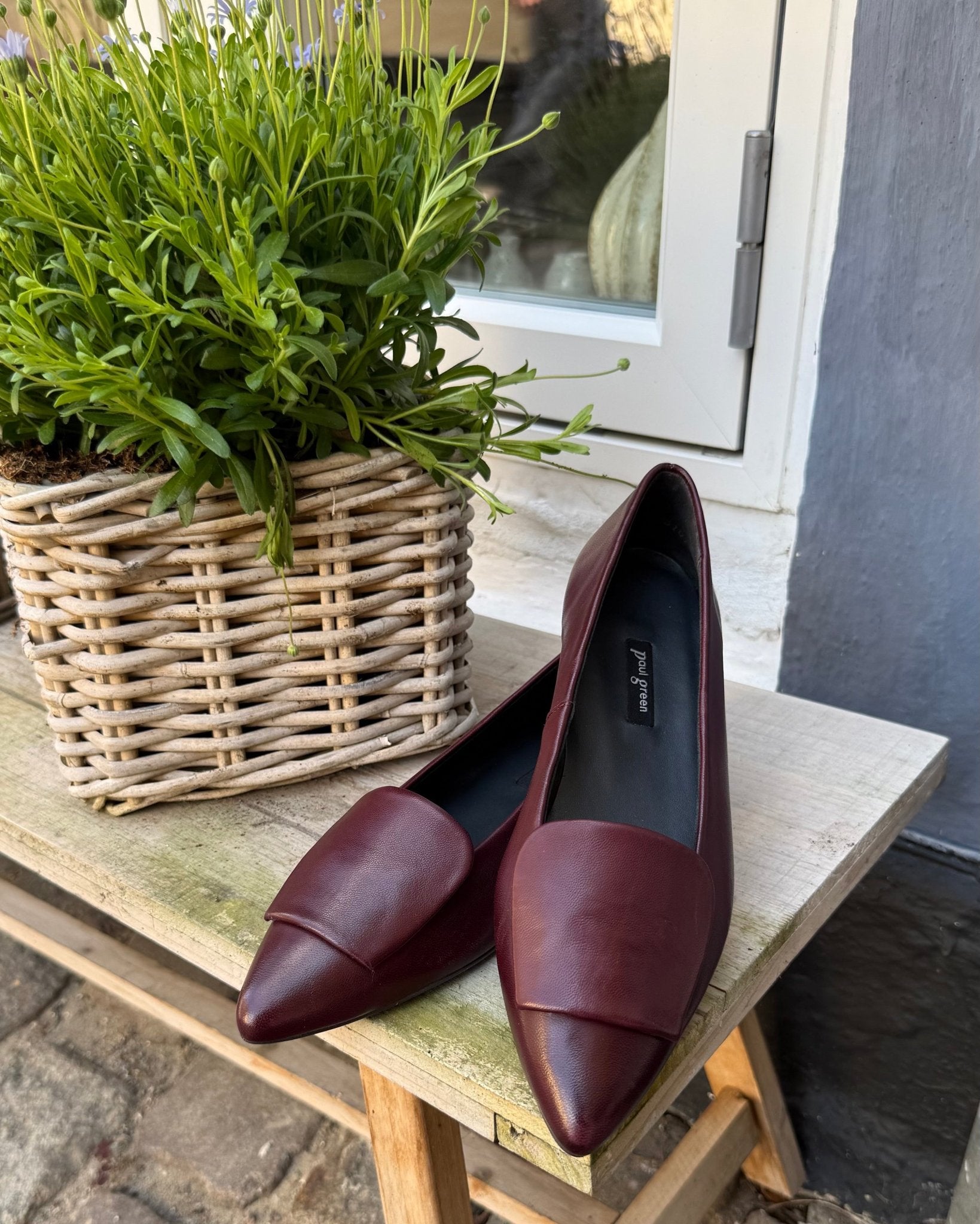 Paul Green 3792 - 221 bordeaux ballerina dame
