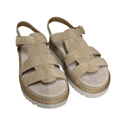 Paul Green 6176 - 039 taupe dame