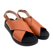 Wonders C - 6540 Camel