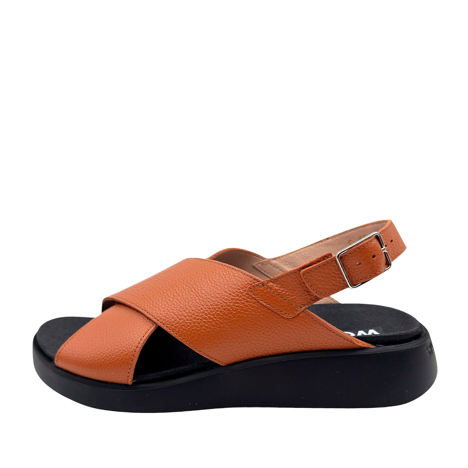 Wonders C - 6540 Camel